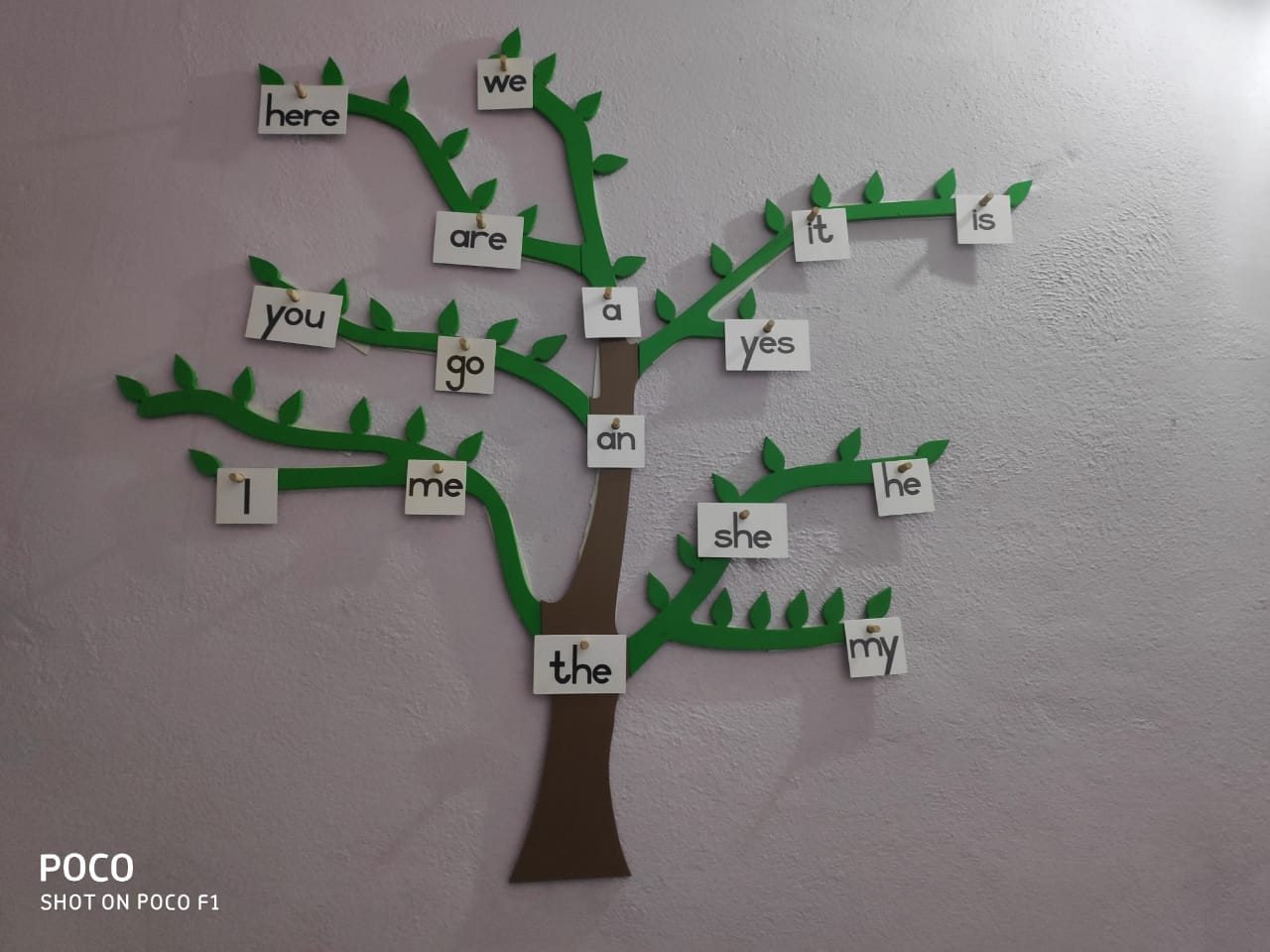 4S Tree School